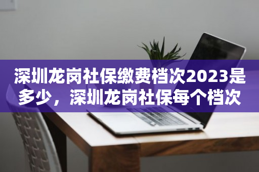 深圳龙岗社保缴费档次2023是多少，深圳龙岗社保每个档次要交多少钱