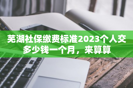芜湖社保缴费标准2023个人交多少钱一个月，来算算